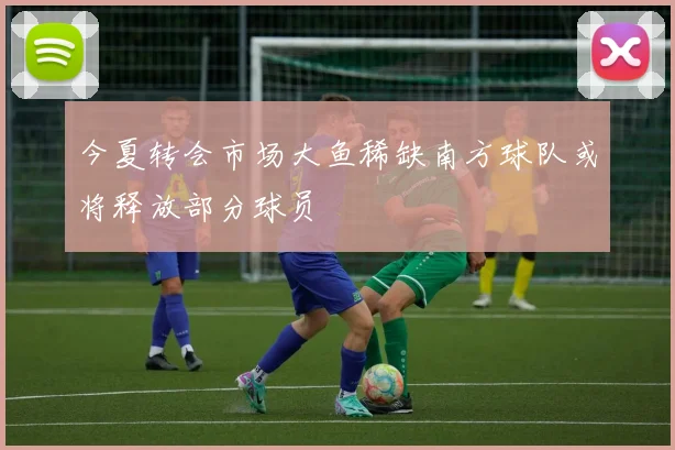 今夏转会市场大鱼稀缺南方球队或将释放部分球员