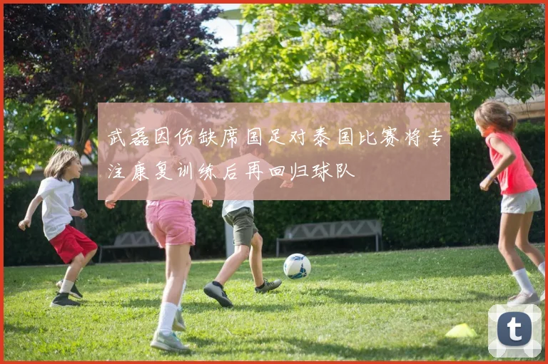 武磊因伤缺席国足对泰国比赛将专注康复训练后再回归球队