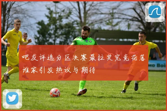 吧友评选分区决赛最拉奖究竟花落谁家引发热议与期待